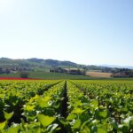 Lebensmitteltechnologie und Agrarinnovation in Italien